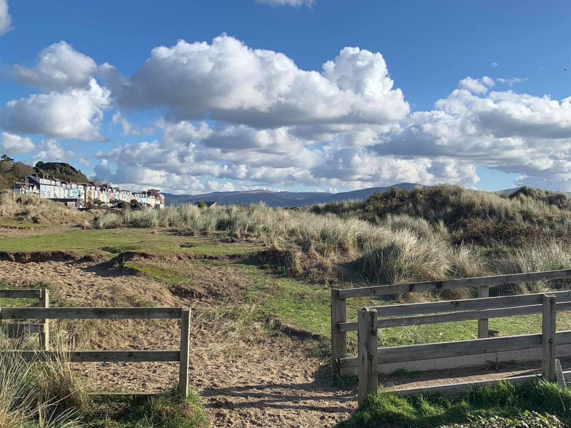 Villa Driftwood Aberdyfi Exterior foto